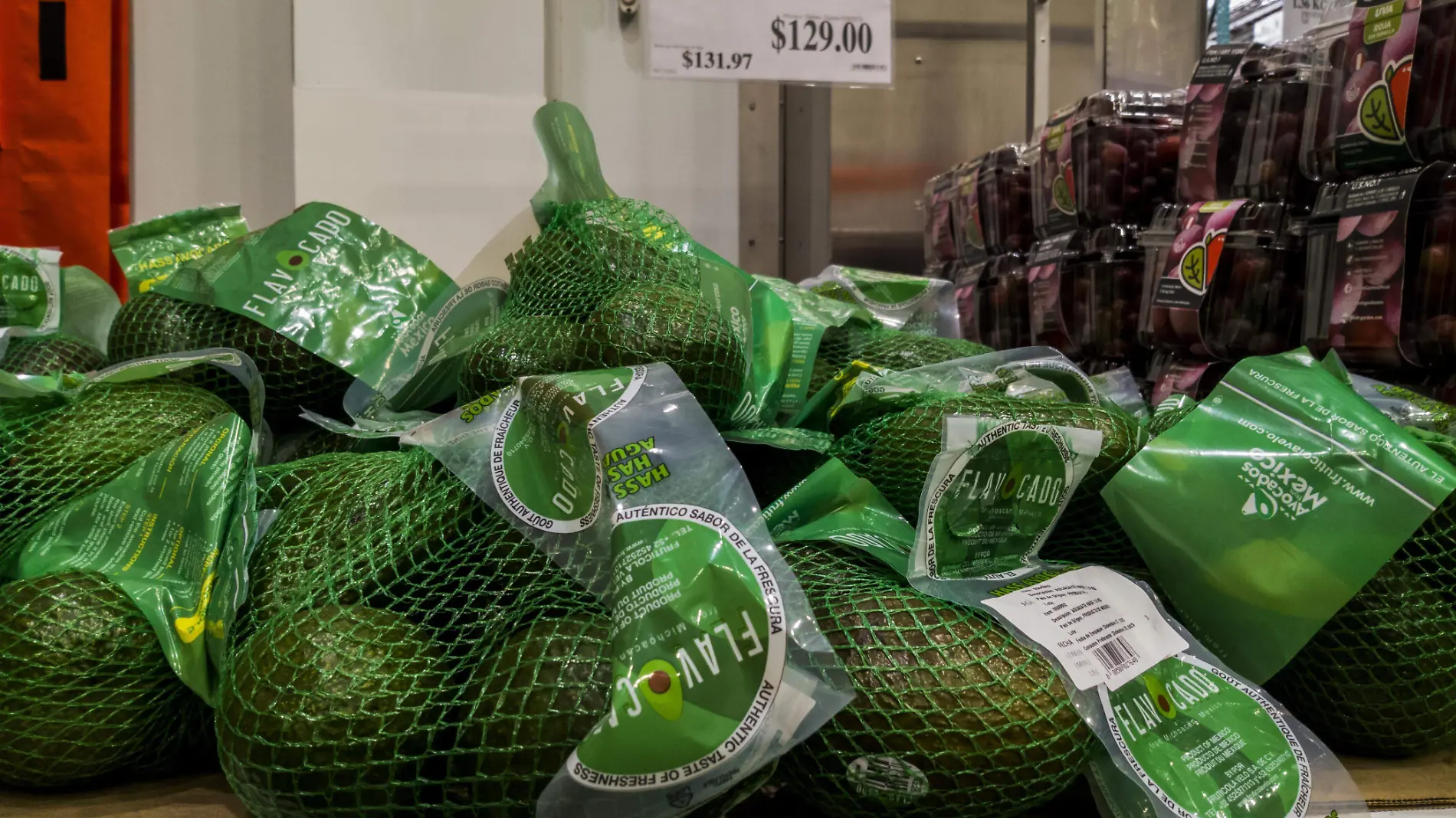 AGUACATE COSTCO_AJO (3)